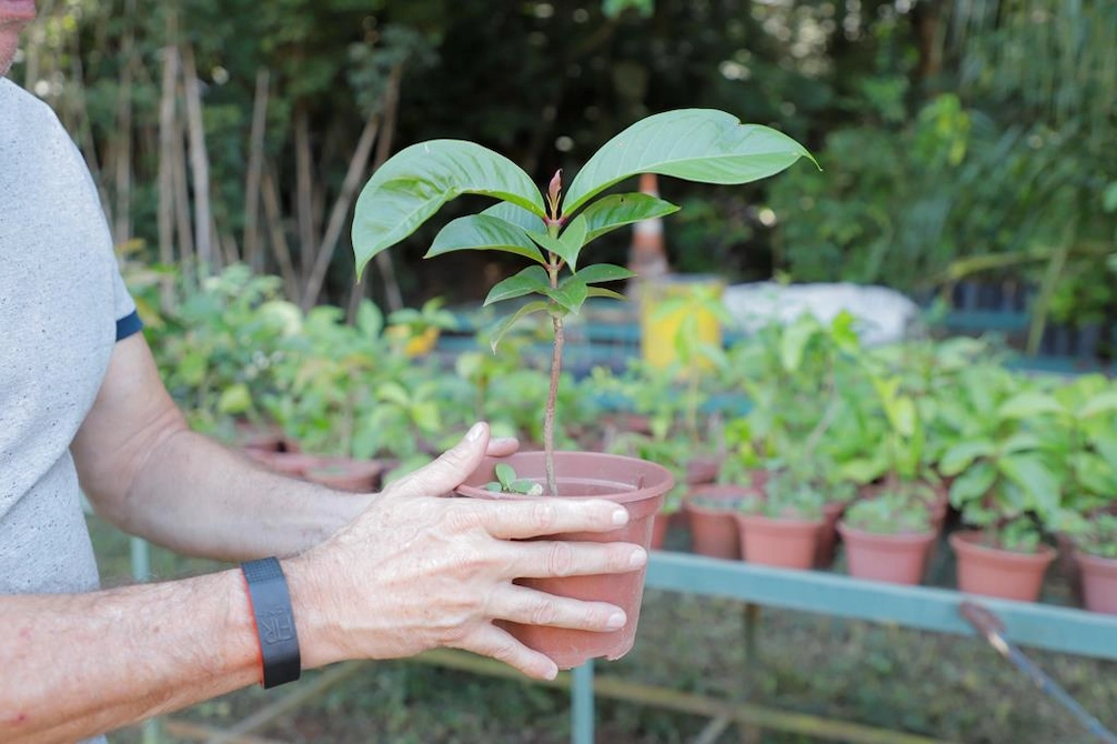Barueri conquista 2º lugar no Programa Município VerdeAzul com melhor nota da história