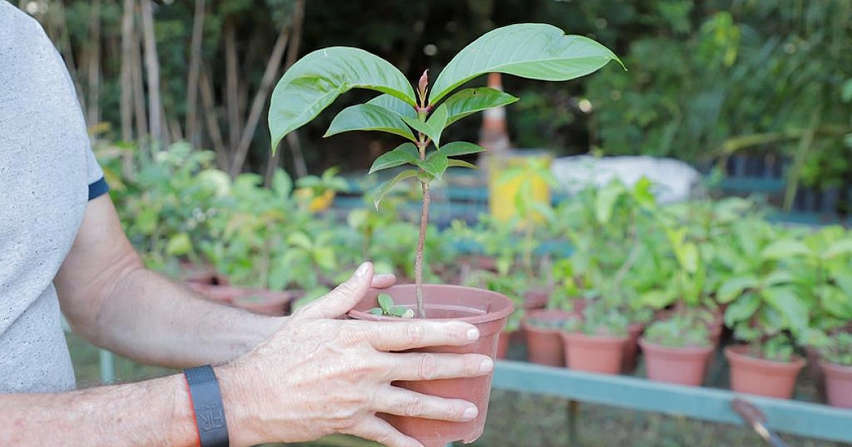 Barueri conquista 2º lugar no Programa Município VerdeAzul com melhor nota da história