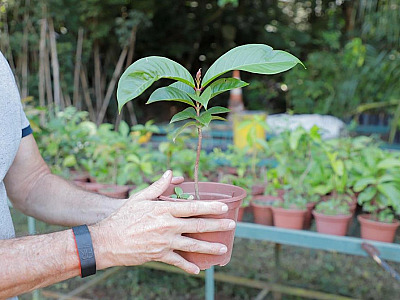 Barueri conquista 2º lugar no Programa Município VerdeAzul com melhor nota da história