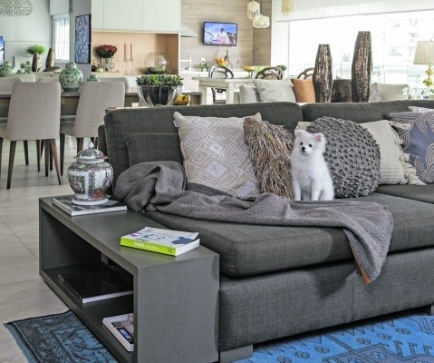 Animais em casa pedem cuidados