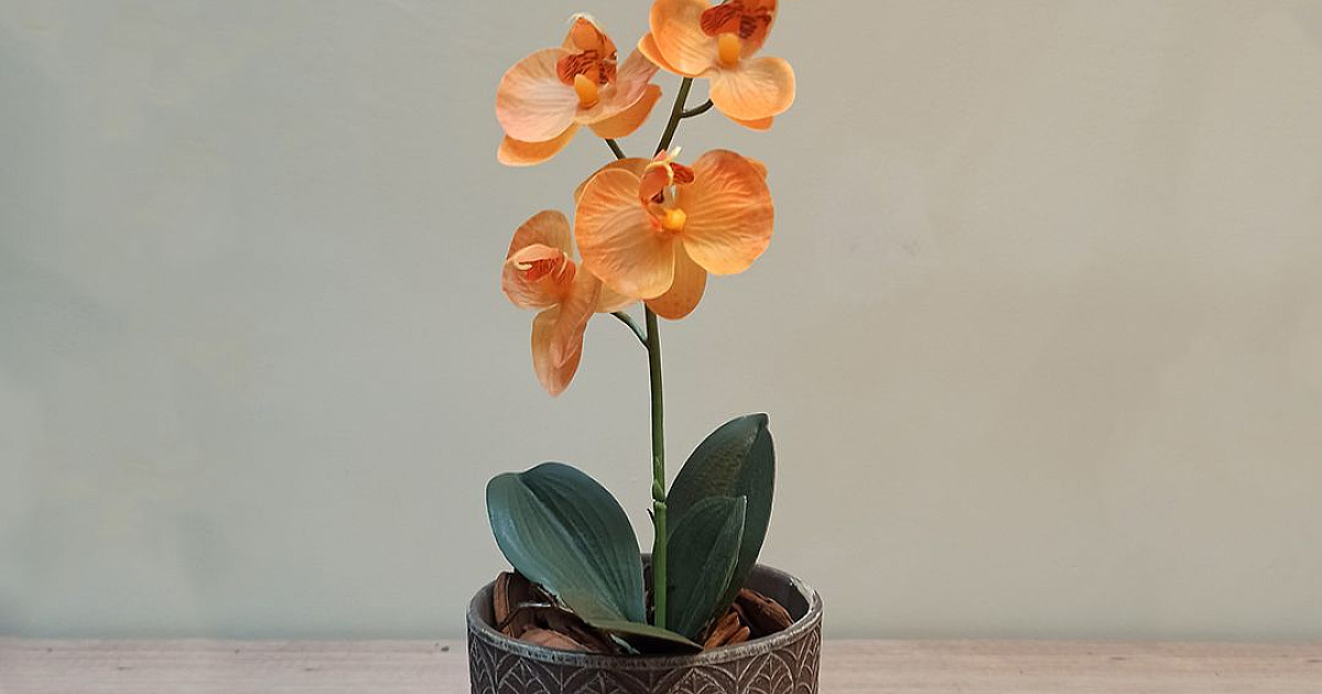 Baazar Decor traz dicas de presentes para o Dia das Mães