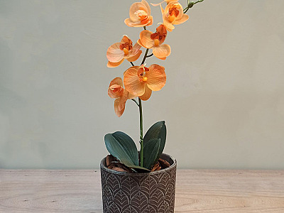 Baazar Decor traz dicas de presentes para o Dia das Mães