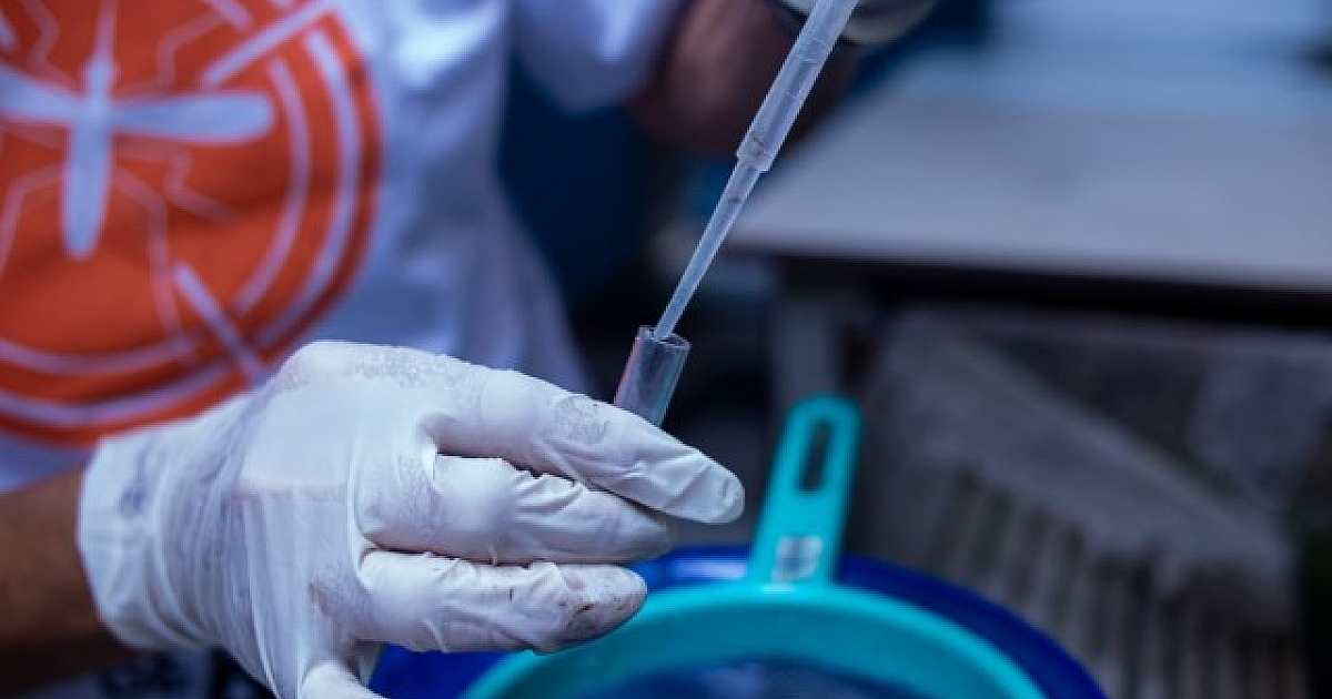Laboratórios de Alphaville registram alta nos testes positivos para dengue