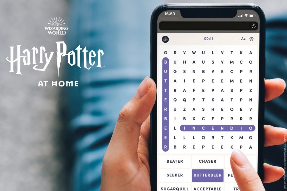 Conteúdo exclusivo do mundo de Harry Potter é liberado por autora
