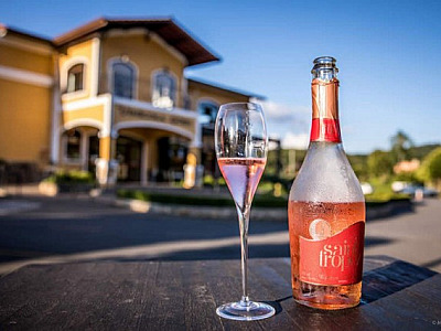 Vinícola Góes oferece até 50% de desconto na Black Friday