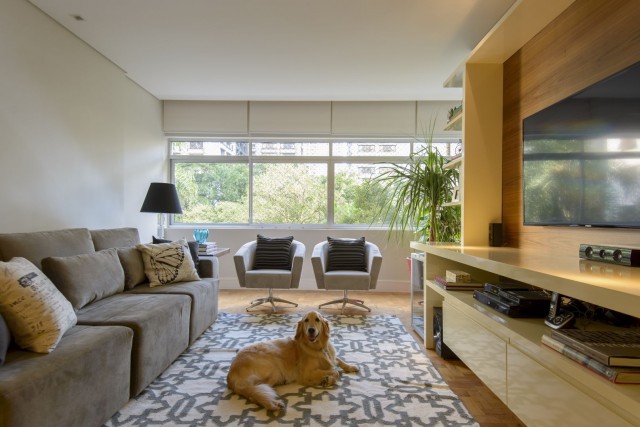 Dia Mundial dos Animais: arquitetos ensinam como adaptar a casa privilegiando o bem-estar dos pets
