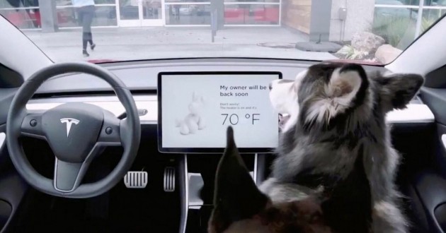 Tesla lança ‘modo cão’ em seus carros