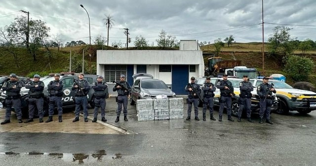 Polícias Militar e Rodoviária apreendem R$6 milhões em drogas na Castello Branco, em Santana de Parn