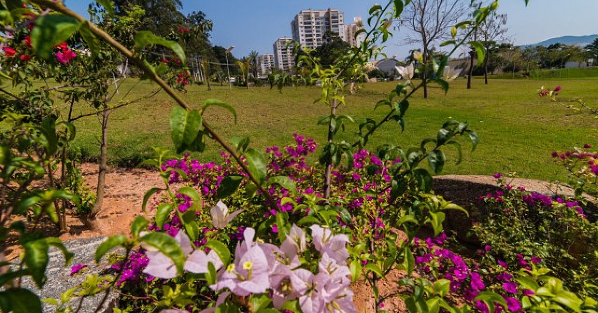 Primavera será de tempo mais seco e chuvas abaixo da média histórica