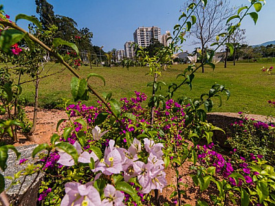 Primavera será de tempo mais seco e chuvas abaixo da média histórica