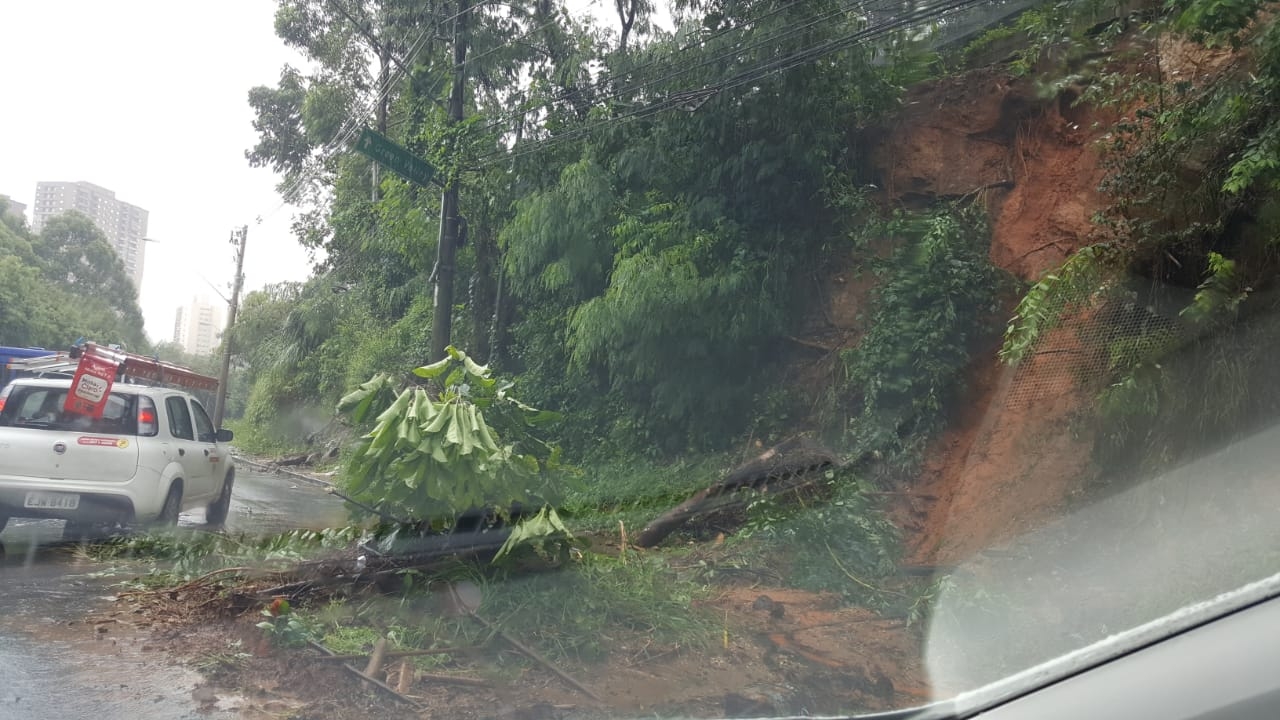 Via Parque tem duas faixas interditadas por queda de árvore