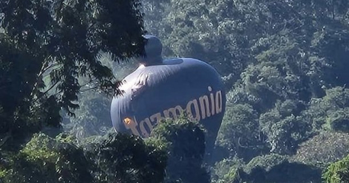 Balão cai na Reserva Tamboré neste domingo (25); não houve registro de incêndio