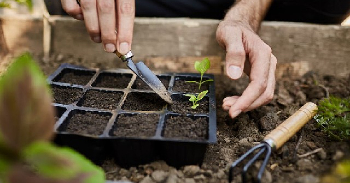 MPD Engenharia promove ação ecológica no Parque 18 do Forte