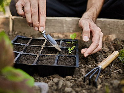 MPD Engenharia promove ação ecológica no Parque 18 do Forte