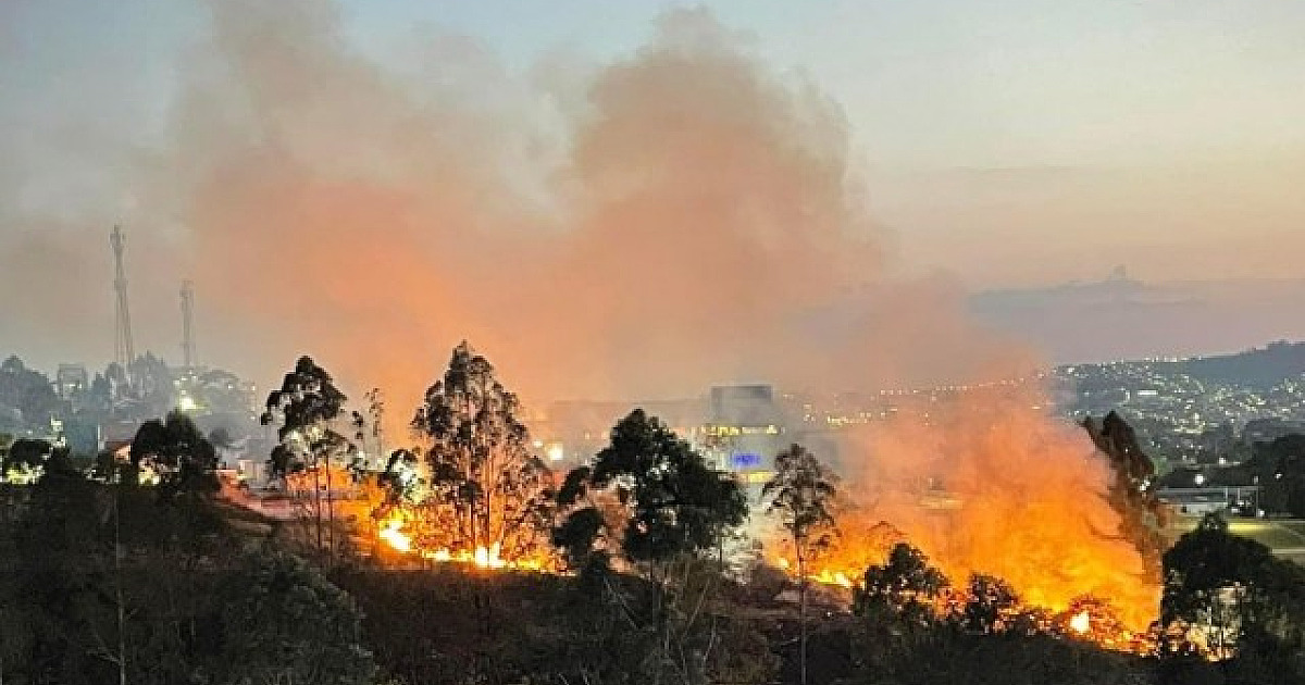 Greenpeace diz que ‘prefeituras têm papel crucial na prevenção a incêndios’