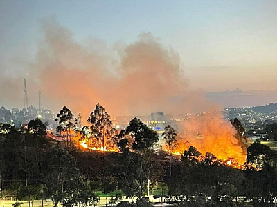 Greenpeace diz que ‘prefeituras têm papel crucial na prevenção a incêndios’