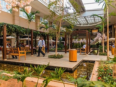 Arraiá julino do Alpha Square Mall terá música ao vivo neste domingo (4)