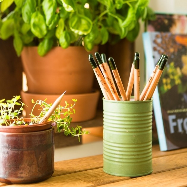 Empresa lança lápis que vira planta depois de usado