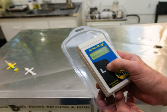 Para segurança de pets, procura por microchips tem alta em Alphaville