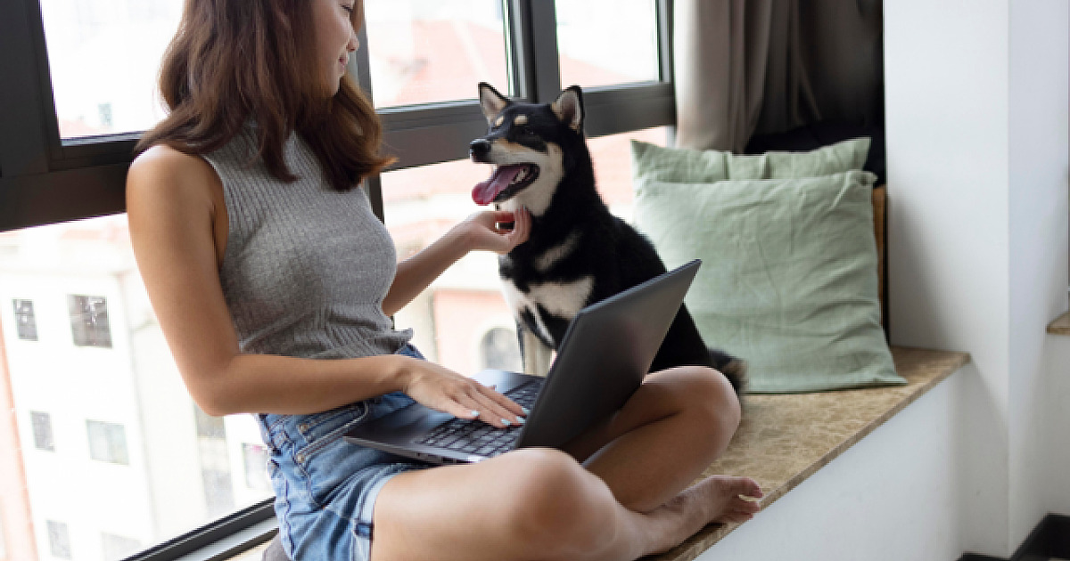 De cães e gatos a animais exóticos, 13% dos apartamentos brasileiros têm pets, revela pesquisa
