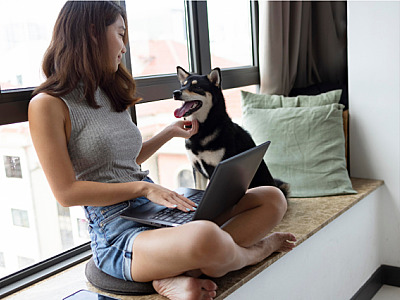 De cães e gatos a animais exóticos, 13% dos apartamentos brasileiros têm pets, revela pesquisa