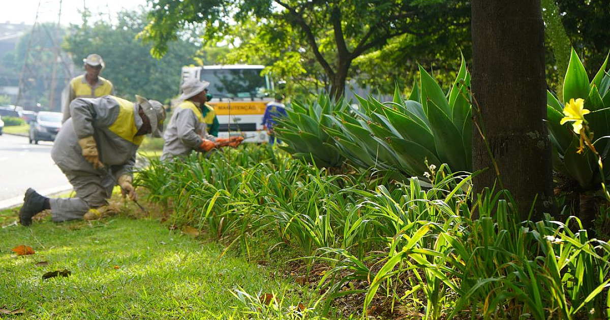 A AREA cuida de cada detalhe para que o Centro Empresarial de Alphaville continue considerado um dos