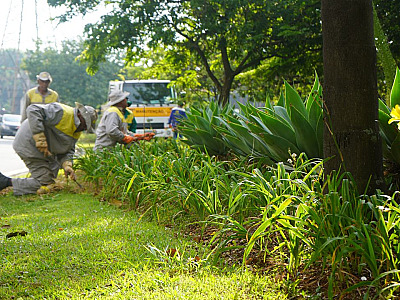A AREA cuida de cada detalhe para que o Centro Empresarial de Alphaville continue considerado um dos