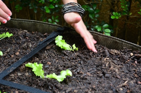 Escola Castanheiras participa da Virada Sustentável