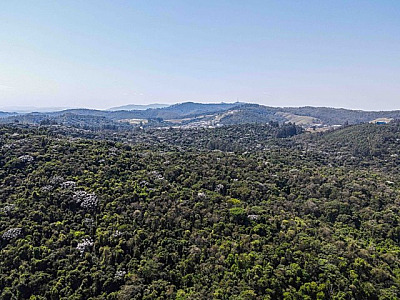 Barueri e Santana de Parnaíba têm "nível zero" de desmatamento da Mata Atlântica