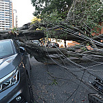 Cinco dias após ciclone, 30 mil clientes estão sem energia