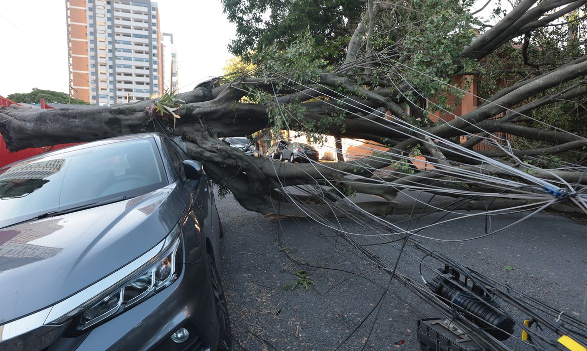 Cinco dias após ciclone, 30 mil clientes estão sem energia