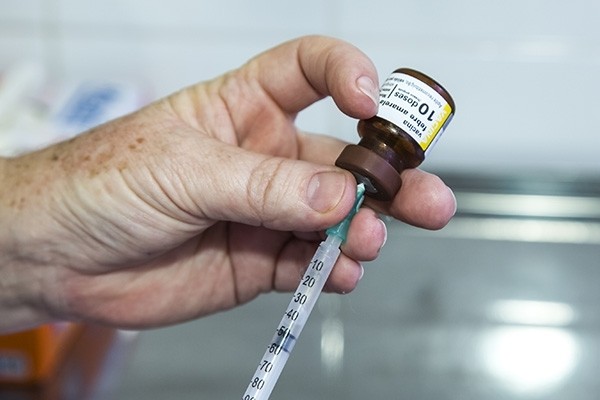 Cidades não terão vacinação fracionada da febre amarela