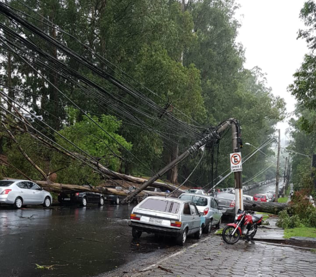 Temporal causa transtornos e quedas de árvores em Alphaville