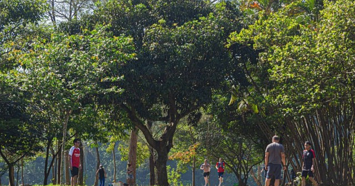 Barueri conquista sua melhor pontuação em programa que certifica as melhores práticas ambientais