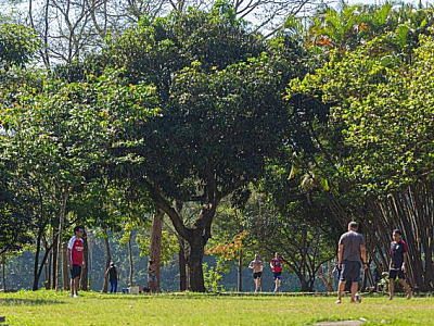 Barueri conquista sua melhor pontuação em programa que certifica as melhores práticas ambientais