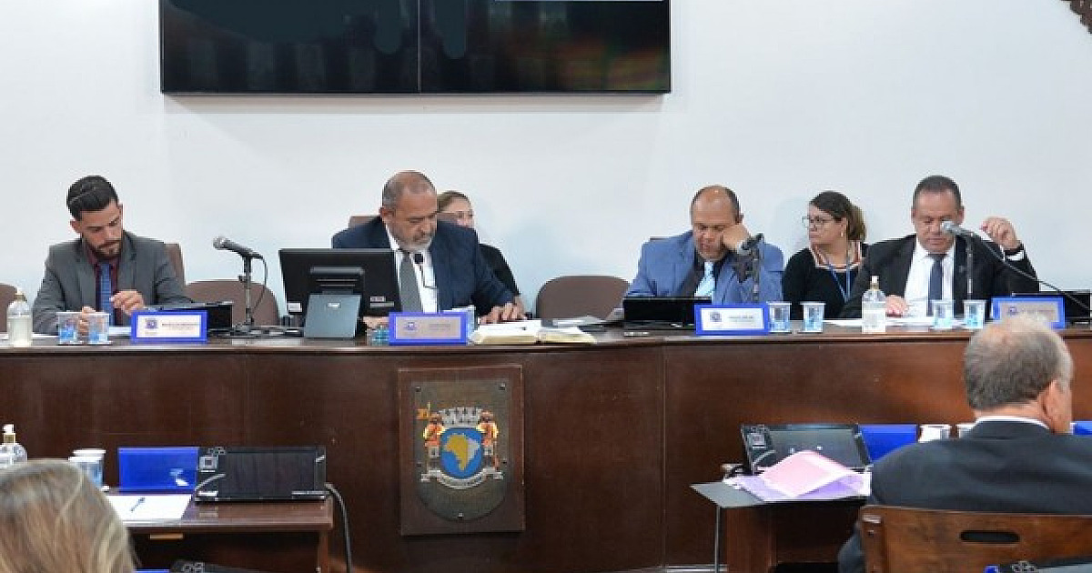 Santana de Parnaíba aprova projeto para uso de madeira sustentável