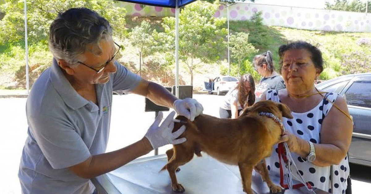 Confira os dias de funcionamento do posto fixo de vacinação contra raiva de Barueri em novembro