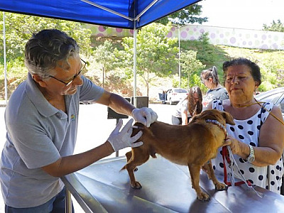 Confira os dias de funcionamento do posto fixo de vacinação contra raiva de Barueri em novembro