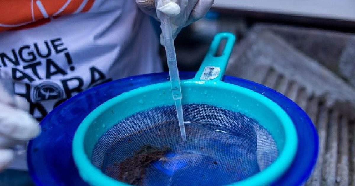 Casos de dengue aumentam no estado de SP e acendem alerta na região