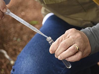 Governo de São Paulo decreta estado de emergência para dengue