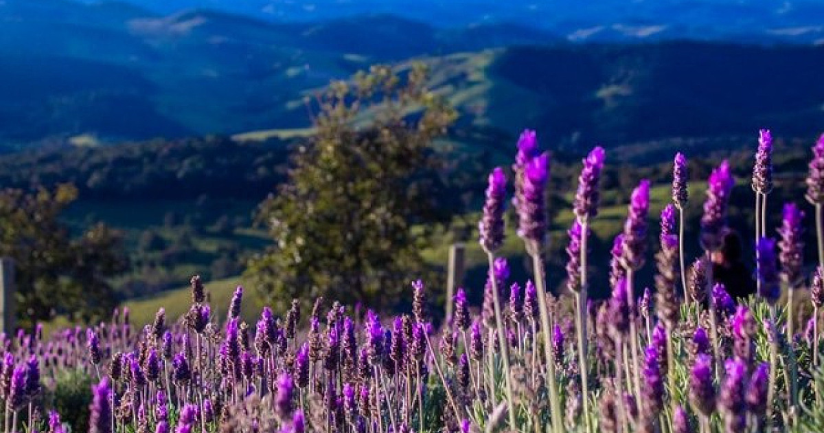 4 viagens rápidas para dar de presente de Dia das Mães