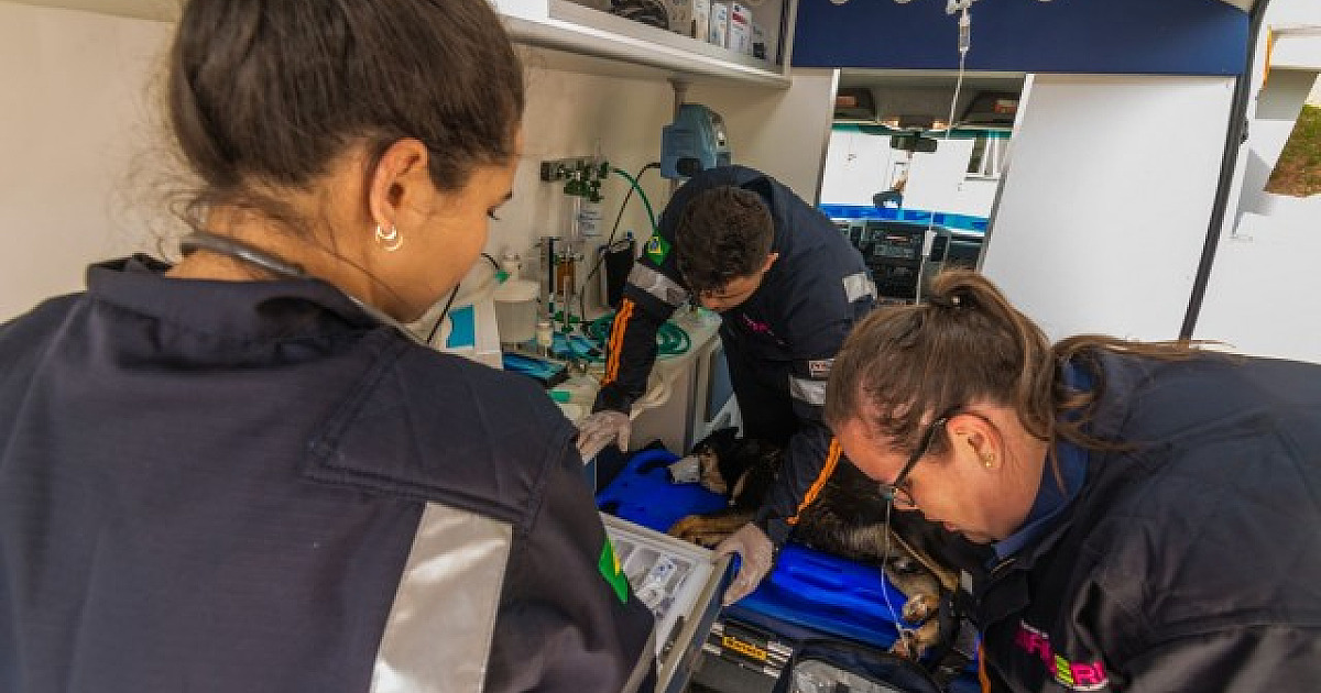 Resgate Animal completa um ano de funcionamento no próximo mês