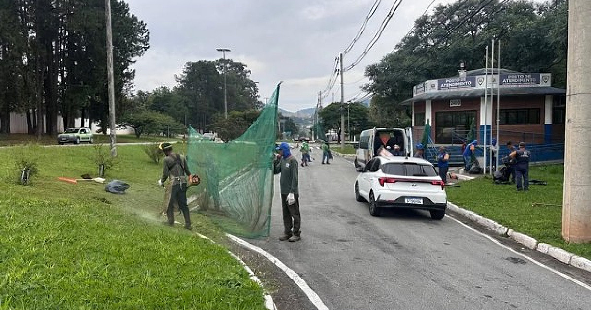 Prefeitura de Santana de Parnaíba realiza ação de limpeza, roçagem e pintura de guias em Alphaville