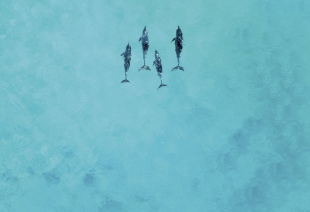 Latitudes apresenta roteiros para 2026 em seu private jet, incluindo itinerário inédito na Oceania