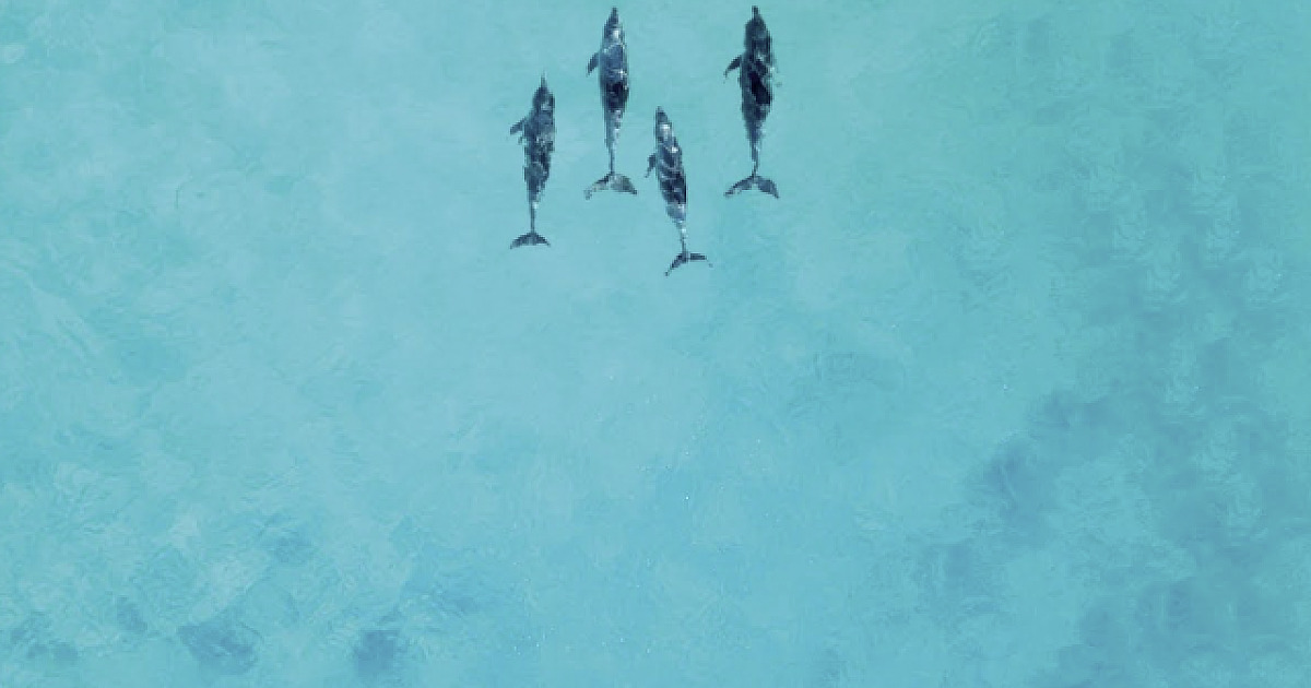 Latitudes apresenta roteiros para 2026 em seu private jet, incluindo itinerário inédito na Oceania