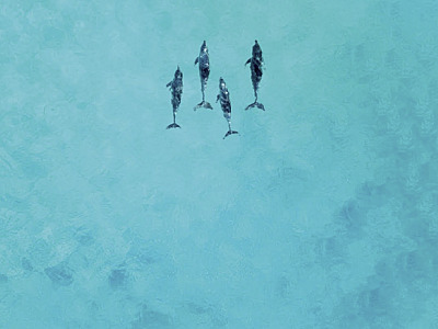 Latitudes apresenta roteiros para 2026 em seu private jet, incluindo itinerário inédito na Oceania