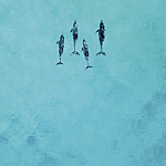 Latitudes apresenta roteiros para 2026 em seu private jet, incluindo itinerário inédito na Oceania