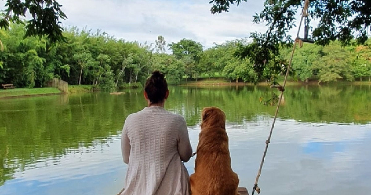 Brotas oferece atrações para aproveitar com os pets