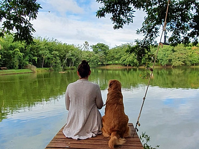 Brotas oferece atrações para aproveitar com os pets