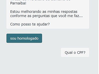 Assistente virtual de Parnaíba é reconhecida pelo Google